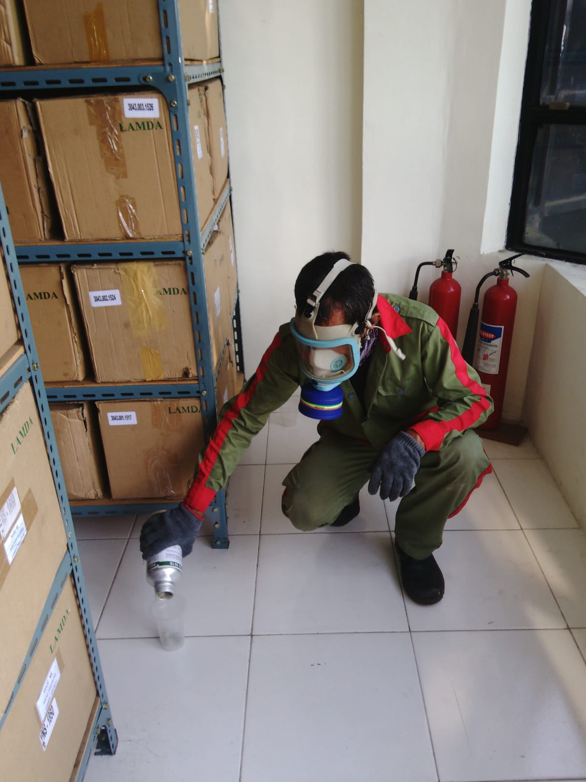 Pentingnya Pengendalian Hama Selain Rayap