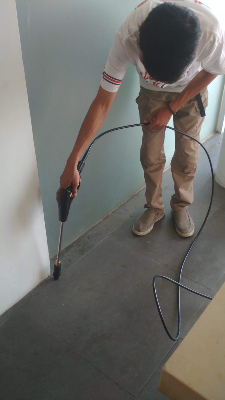 Layanan Anti Rayap Profesional di Jakarta Selatan dan Sekitarnya