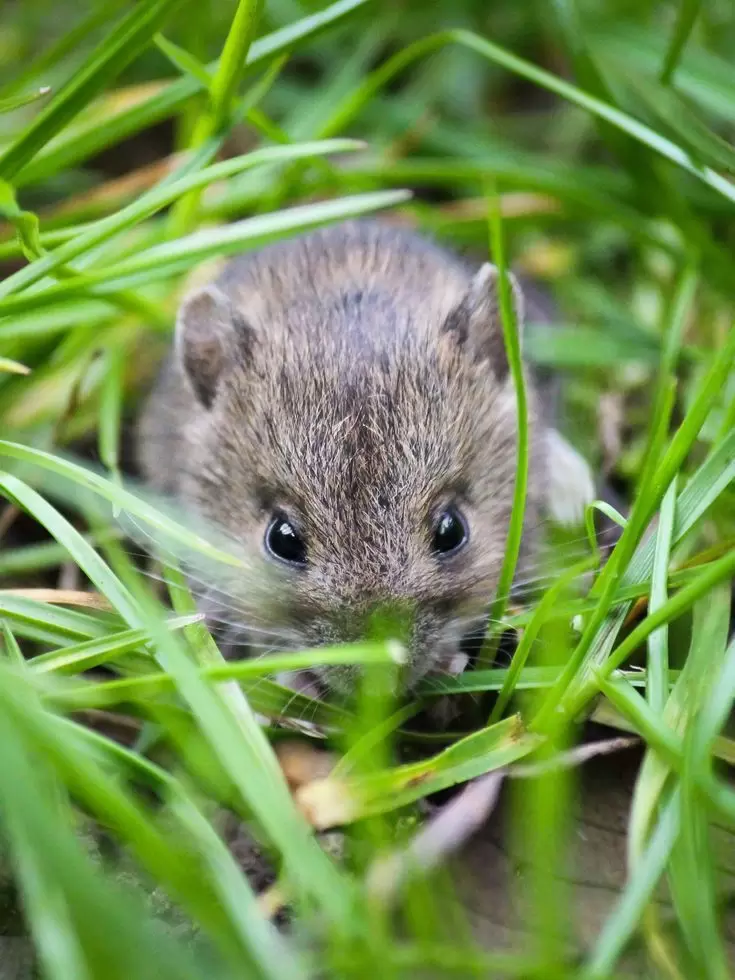 <br />
<b>Notice</b>:  Undefined index: nama_hama in <b>/home/protermi/public_html/app/home.php</b> on line <b>299</b><br />
